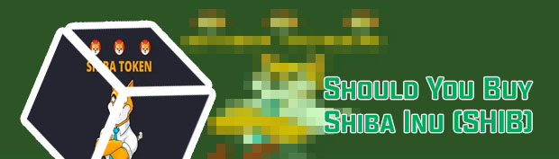Shiba inu cryptocurrency